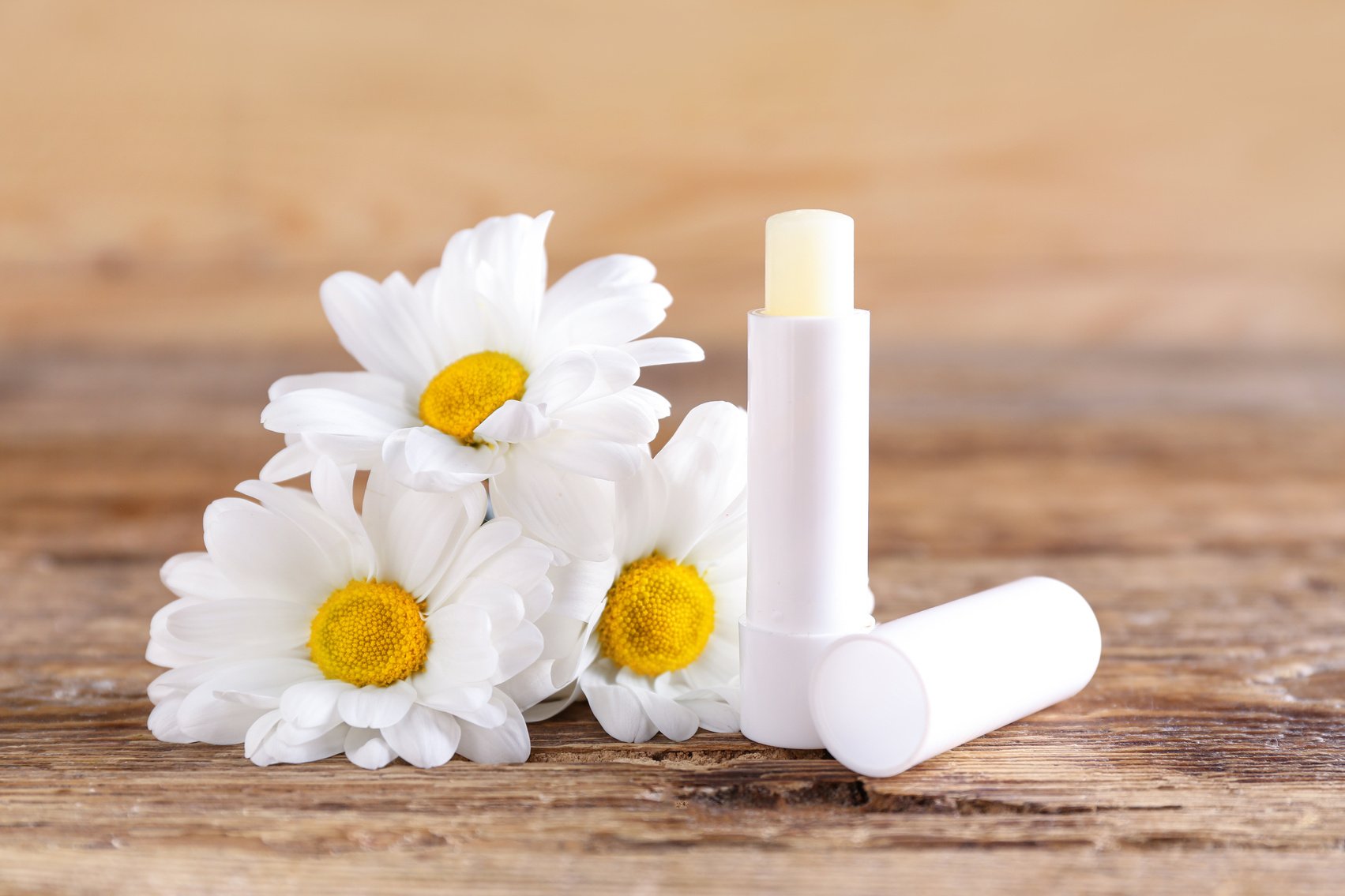 Lip Balm and Chamomile Flowers on Wooden Background